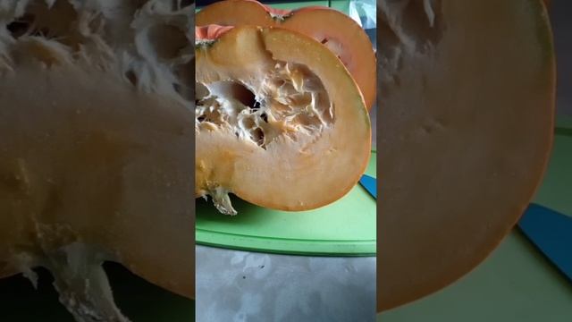 Рецепты с тыквой: вкусно и полезно