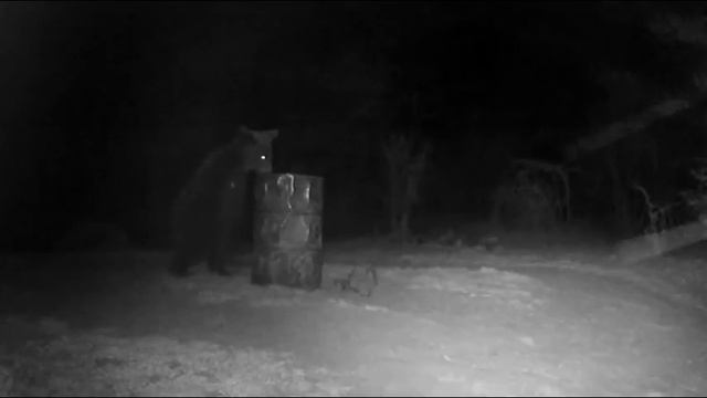 Medveles Kamera 2018-4-16/17 смотреть онлайн