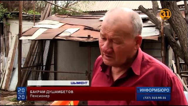 В Шымкенте у коллекционера похитили императорских павлинов смотреть онлайн