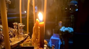 "Днесь Висит на дереве"