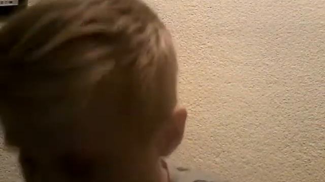 Сколько живут коты? смотреть онлайн