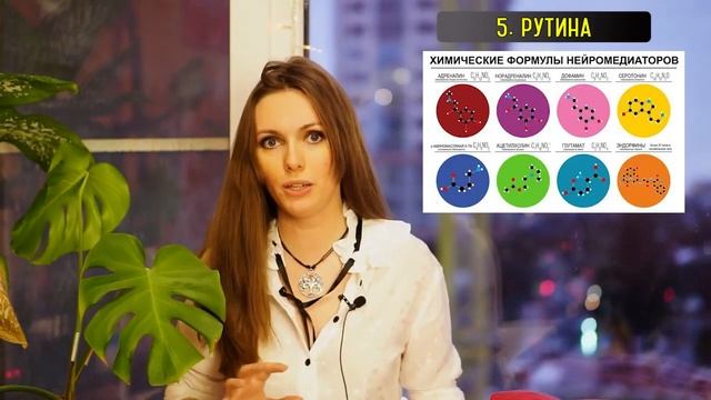 Neurociencias, технология изучения языка. смотреть онлайн