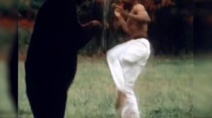 Это Киокушин!(Neoton Familia-Kyokushinkai)