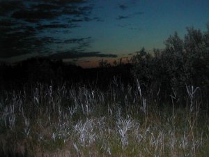 Иеромонах Роман. «Прозрев необратимо поздно...»