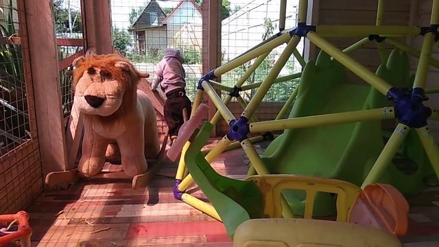 Шпаненок яванская макака Фёдор смотреть онлайн