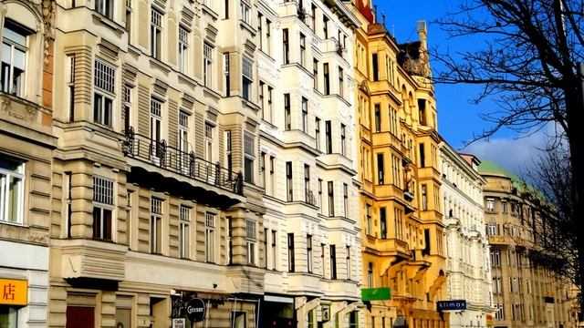 Vienna Around  Naschmarkt