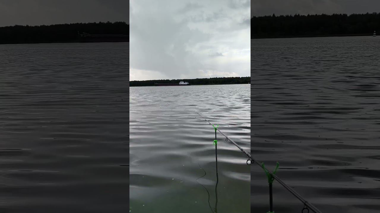 Рыбалка на фидер. Ждём поклевку!!!#рыбалка #short #fishingvideo смотреть онлайн