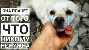 Выкинули щенка, я в шоке была когда узнала кто это Смотреть до конца