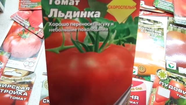 КАКИЕ ТОМАТЫ ВЫБРАТЬ? СКОРОСПЕЛЫЙ СОРТ ЛЬДИНКА. Обзор Ольги Черновой смотреть онлайн