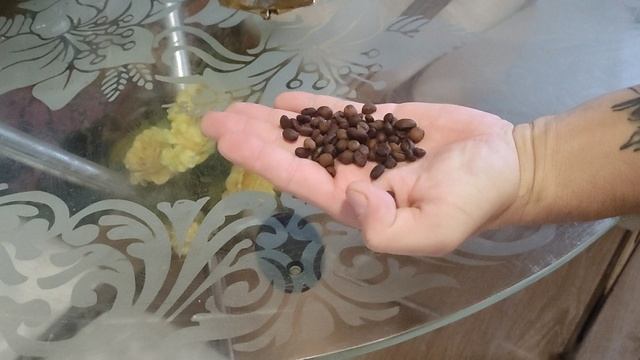 Кофе зерновой горелый во всех магазинах России.