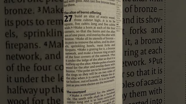 Week 6 - Day 4 (29/260) Exodus Chapters 25-27, Psalm 90, Philippians Chapter 1 смотреть онлайн