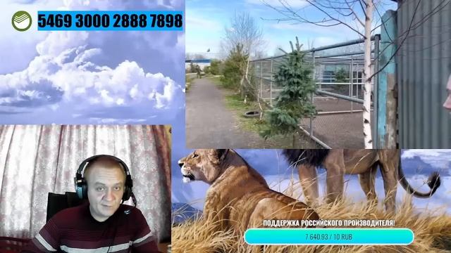 Донецкий зоопарк - почему люди не доверяют Кряжевым? / парк львов Тайган - Олег Зубков смотреть онлайн