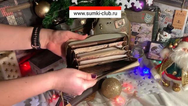 ЖЕНСКИЙ МОДНЫЙ БУМАЖНИК КЛАТЧ ANEKKE 27859 08 смотреть онлайн