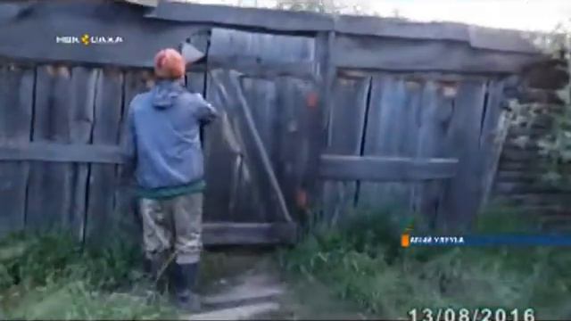 Быйыл республикаҕа 5 тыһыынча тонна балыктанарыттан 80% хотугу улуус балыксыттара толороллор смотреть онлайн