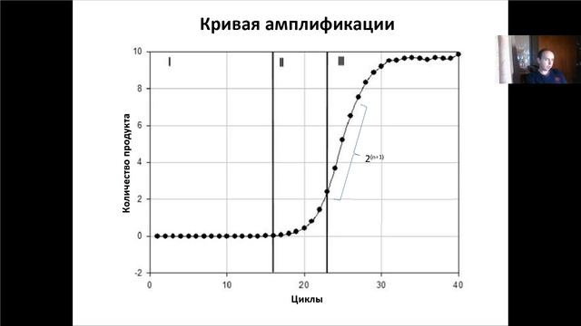 Основы молекулярной и клеточной биологии. Лекция 12. Полимеразная цепная реакция