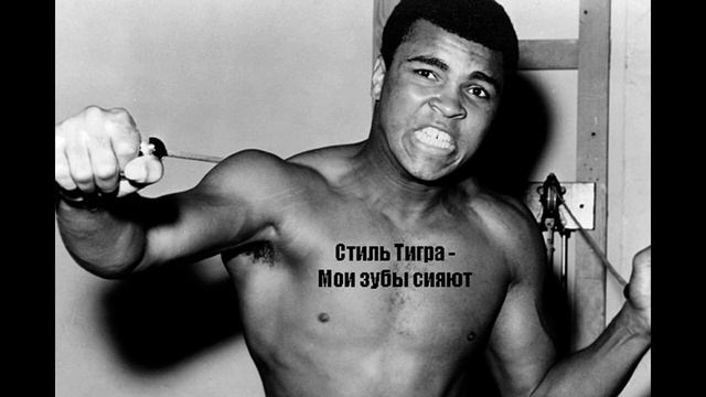 Стиль Тигра - Мои зубы сияют смотреть онлайн