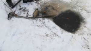 Рыбалка на малых реках Сибири. Ловля сетями зимой подо льдом