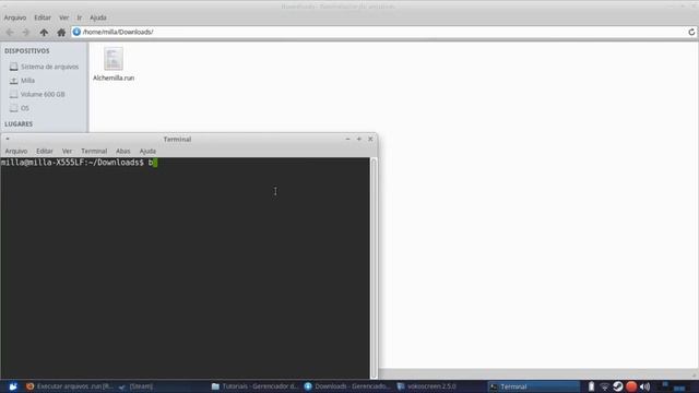Xubuntu Core 17.04-Instalar Silent Hill Alchemilla смотреть онлайн