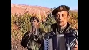 баян Serbia Strong