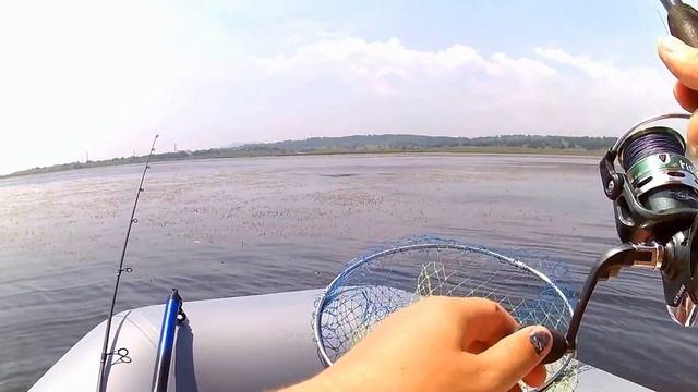 На рыбалку за змееголовом смотреть онлайн