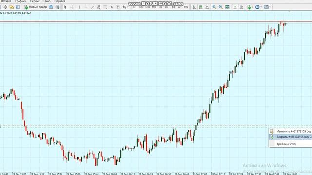 Как научиться торговать AUDNZD смотреть онлайн