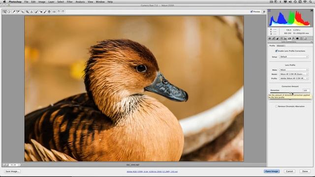 Photoshop Lesson 11 Camera Raw Interface смотреть онлайн