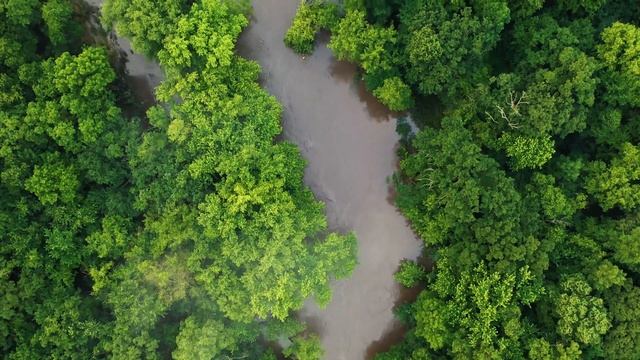 4K HD Video | Расслабляющая музыка для медитации и йоги | Музыка для сна #3 смотреть онлайн