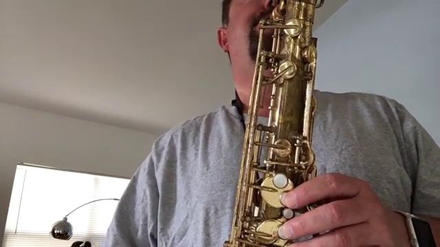 Yamaha YTS61 Purple Label Tenor смотреть онлайн