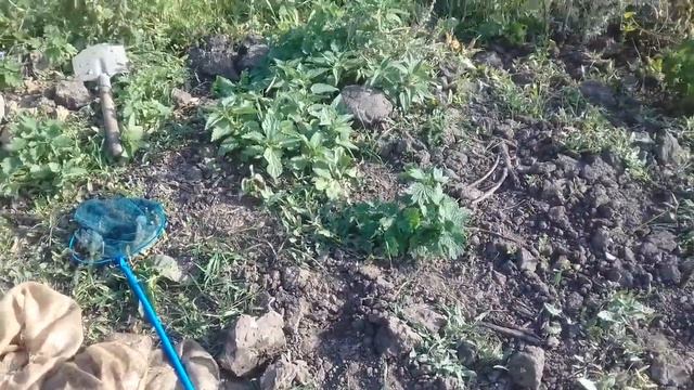 Нашёл много рыбок в ручье смотреть онлайн