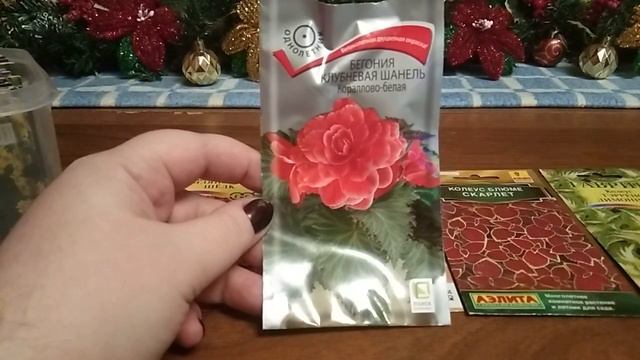 Семена цветов на сезон 2022. Что буду сажать. 1 часть смотреть онлайн