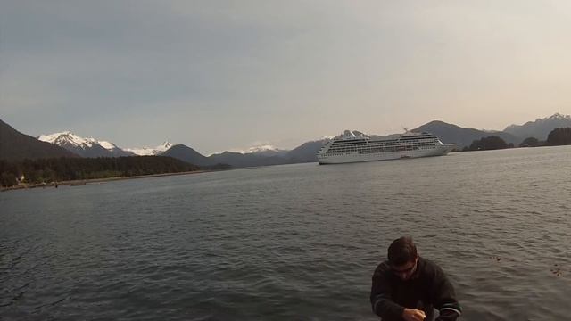 Зубастый терпуг - lingcod смотреть онлайн