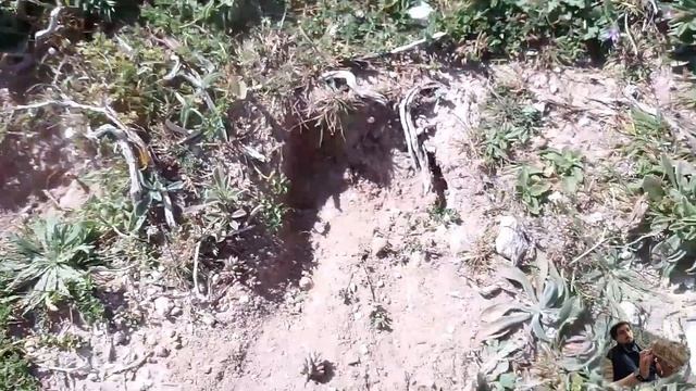 No encontré cristales de cuarzo смотреть онлайн