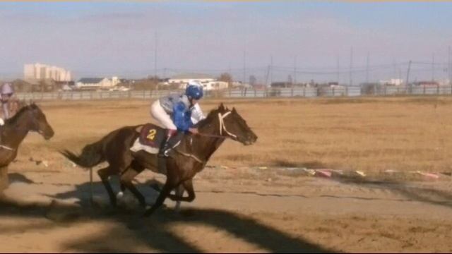Фотографии скакунов РС(Я) смотреть онлайн