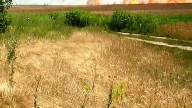 2017 Пожар пшеничного поля смотреть онлайн