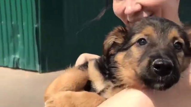 САМАЯ ЛУЧШАЯ ДЕВОЧКА НА СВЕТЕ. смотреть онлайн