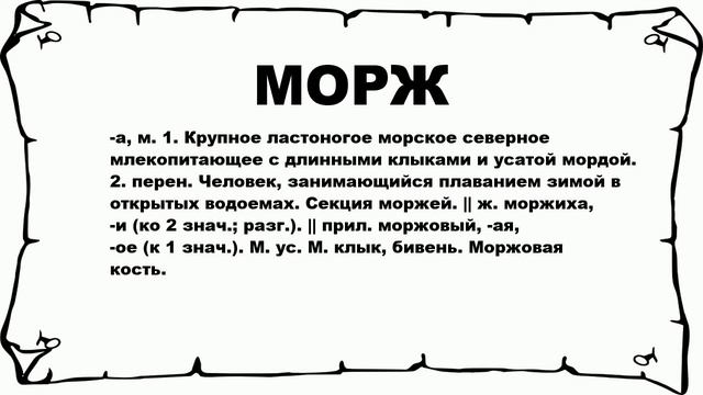 МОРЖ - что это такое? значение и описание смотреть онлайн