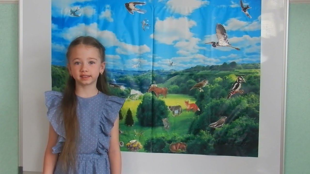 Лес наш друг смотреть онлайн