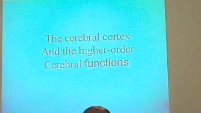 Cerebral Cortex Lecture (Menini) смотреть онлайн