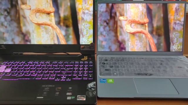 MSI Modern 14 B11SB | 72%NTSC vs 45% NTSC | Asus Tuf A15 FX506iu | color gamut смотреть онлайн