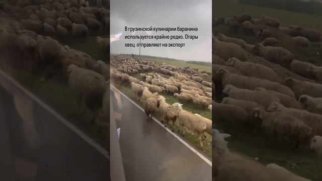 ГРУЗИЯ. ПО ДОРОГЕ В ГАРЕДЖИ смотреть онлайн