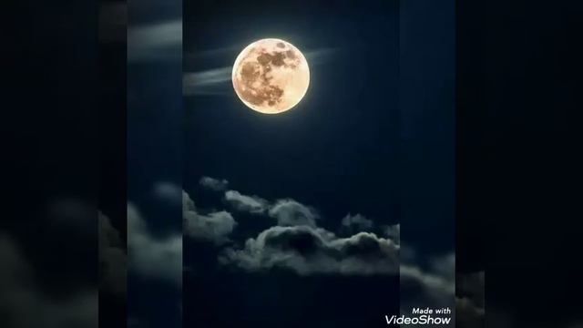 Ravshan Sobirov-luna