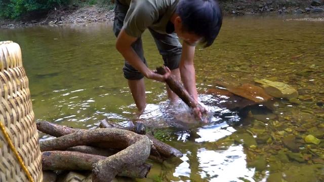 Harvesting Figs, Mushroom Harvest, Catch Shrimp, Pick Up Snails