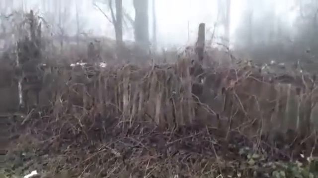 Старый забор смотреть онлайн