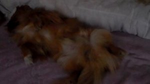 Друг семьи с моей женой в постели..........15.02.2019г.