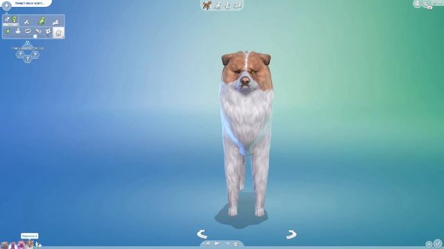 ЧУДО ГЕНЕТИКИ, ТАК МЫ ЕЩЕ НЕ СМЕЯЛИСЬ! - The Sims 4 "Кошки и Собаки" смотреть онлайн