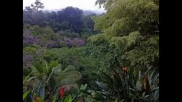 Led Zeppelin - The Rain Song (Cover) смотреть онлайн