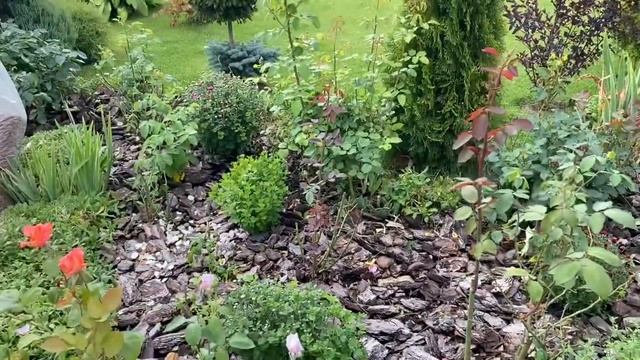 Красивый цветник в своём саду ???ландшафт своими руками смотреть онлайн