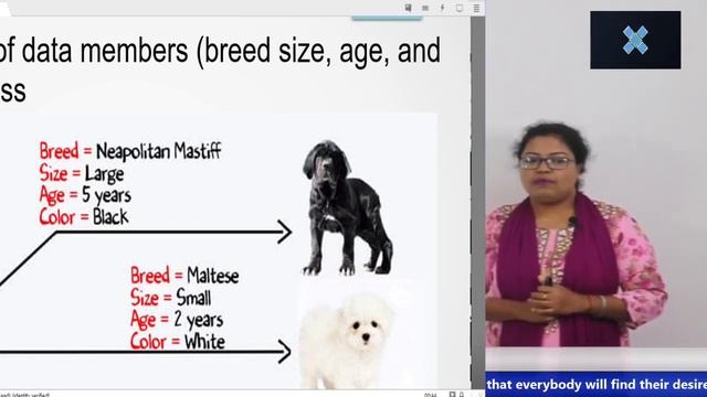 Lecture 03: Java Class and Objects смотреть онлайн