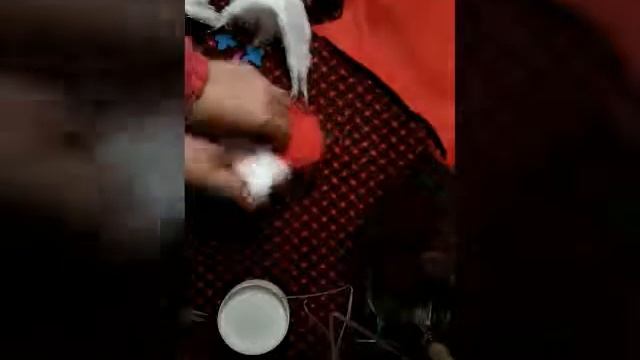 Шиєм игольницу из фетра смотреть онлайн