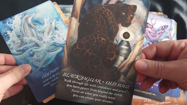 Spirit of The Animals Oracle (review, video) смотреть онлайн